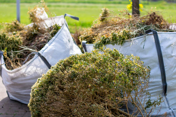 Best Electronics Removal Services  in Mount Plymouth, FL