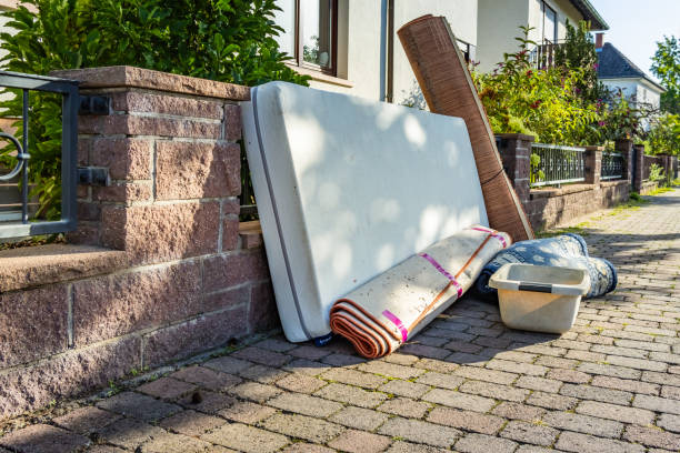 Basement Cleanout Services in Mount Plymouth, FL