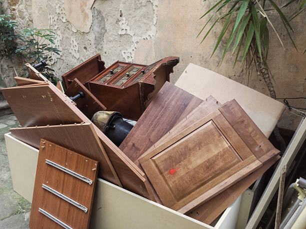Best Construction Debris Removal  in Mount Plymouth, FL
